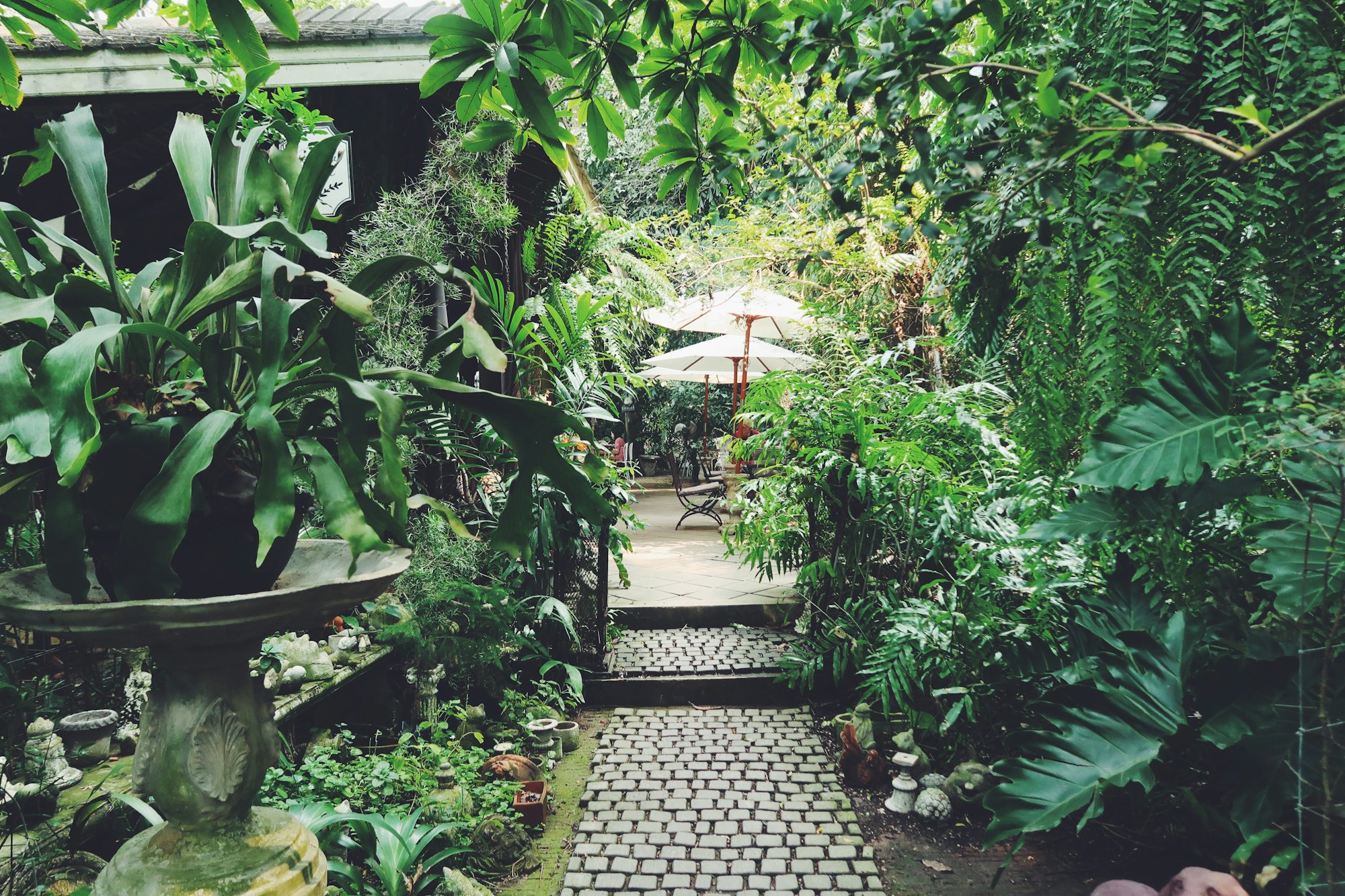 A green Secret garden.