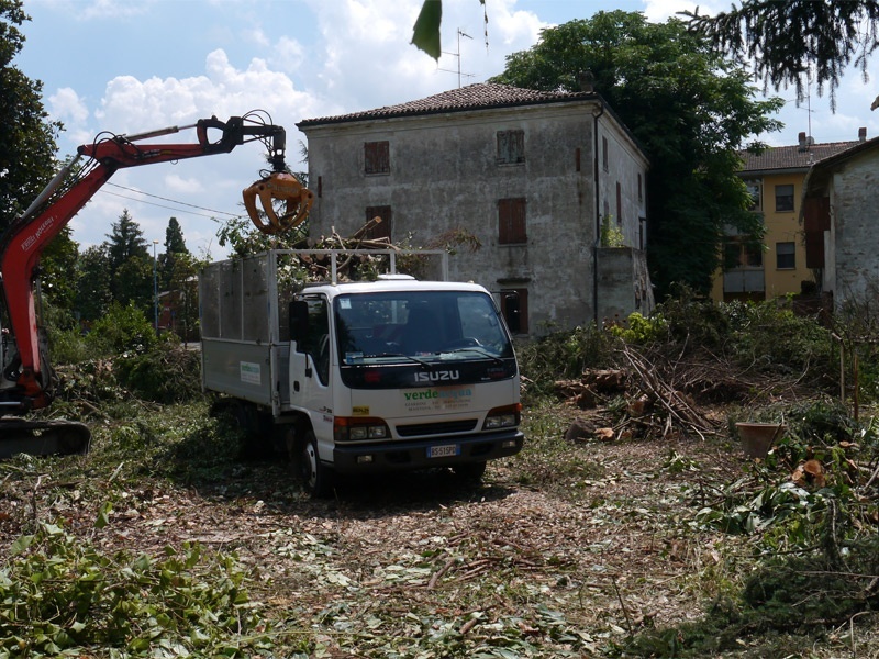 abbattimento-alberi.jpg-nggid0282-ngg0dyn-800x600-00f0w010c010r110f110r010t010